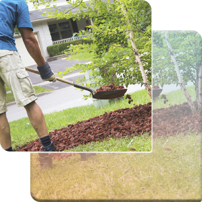 Landscaping Companies in UAE